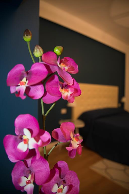 Vatican May'S House ローマ 部屋 写真